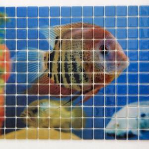 Glasmosaik hd 13