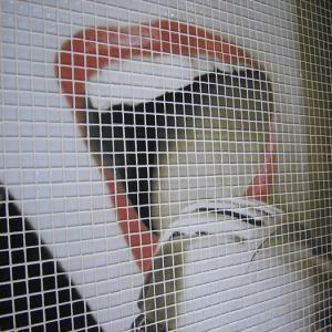 Glasmosaik hd decoration04_3