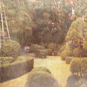 Glasmosaik hd exteriors06_3