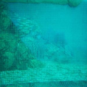 Glasmosaik hd pools01_07