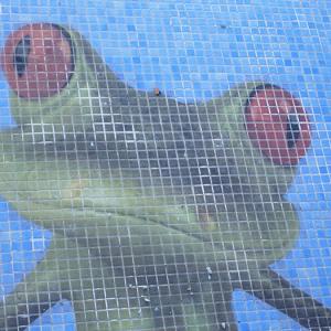 Glasmosaik hd pools02_6