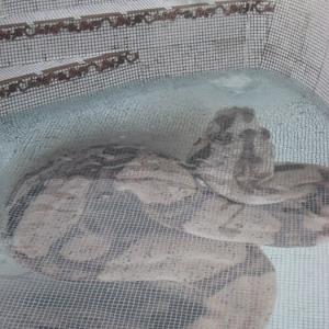 Glasmosaik hd pools05_2