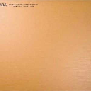 Boden und Wandfliesen Tau Hebra Beige